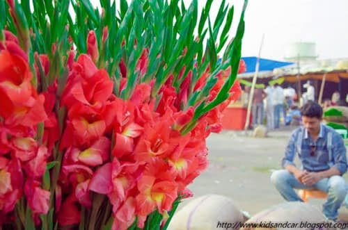 Gudimalkapur Flower Market Hyderabad: Location, Shops, Timing, and Nearby Areas