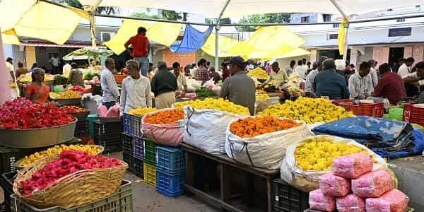 Poo Market Coimbatore: Location, Shops, Timing, and Nearby Areas