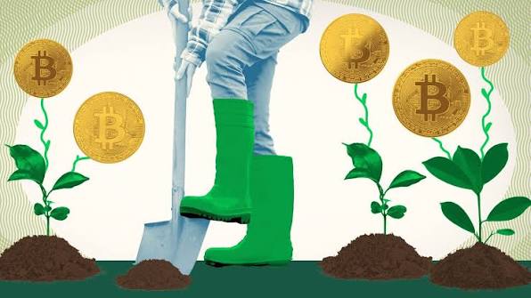 What Is Yield Farming in Decentralized Finance?